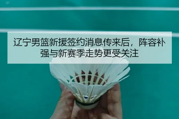 辽宁男篮新援签约消息传来后，阵容补强与新赛季走势更受关注 - kaiyun